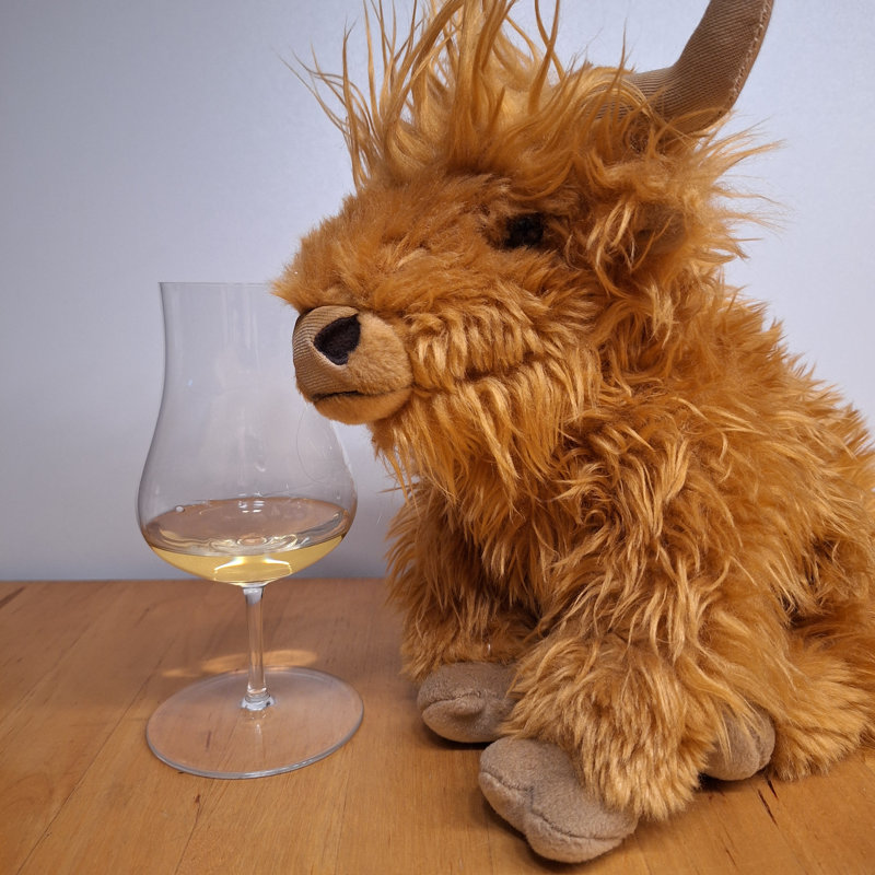 Port Askaig, 17 Jahre