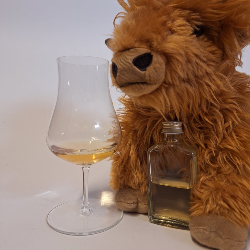 Singlemalt Adventskalender – Türchen 10