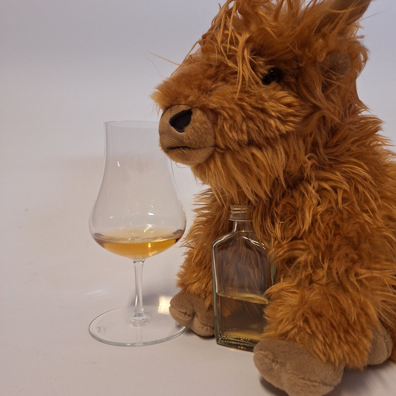 Singlemalt Adventskalender – Türchen 11